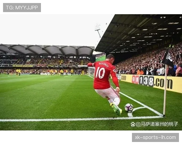 比赛中断后坠球规则详解：何时判给争球为何不直接掷界外球