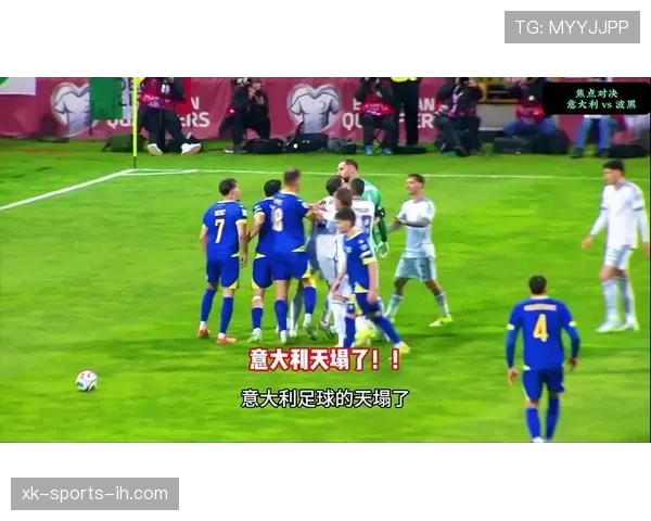 世界杯B组波黑关键比赛曝光